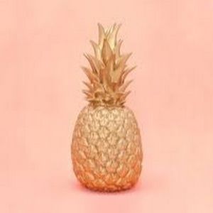 Meet your Posher, Alyson